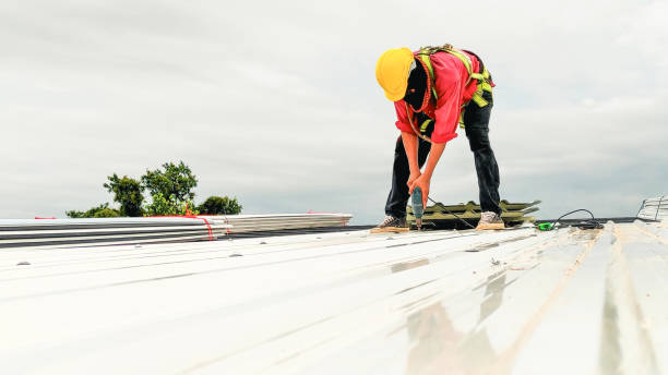 Best Roof Moss and Algae Removal  in Gillette, WY